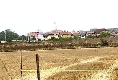 Costinesti - 1