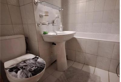 De inchiriat Apartament cu 2 camere, zona 9 Mai (Centru)! CE1387 - 10