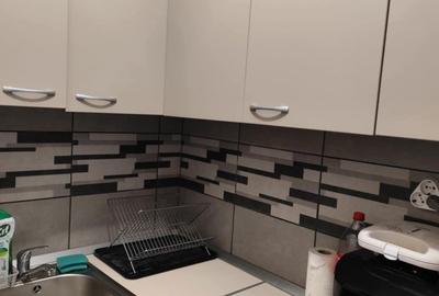 Apartament cu 2 camere în Beba Veche - 5