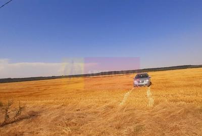 Teren pentru casa/case in Brane?ti pe strada Topora?i - 9