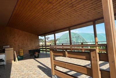 Vanzare casa Catunu - 5