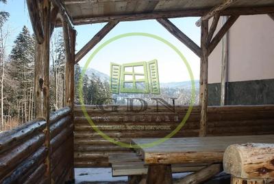 Hotel/Pensiune, de 305 mp, în Piața - 2