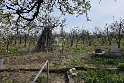Casă cu 3 camere în Secuieni - 3