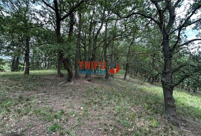 Teren cu priveliște și pădure pentru cabane de vânzare î Teren cu priveliște și pădure pentru cabane de vânzare î - 13