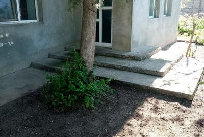 Casa de vanzare schimb Corabia , langa Dunare - 2