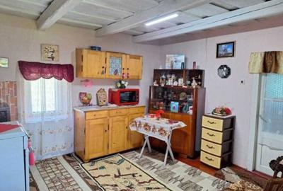 Casă cu 2 camere în Vale - 1