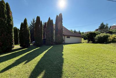 AA/1136 De inchiriat casa in Mures- Sancrai - 13