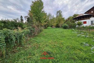 Teren intravilan in Poiana Campina --3676 mp--8e - 5