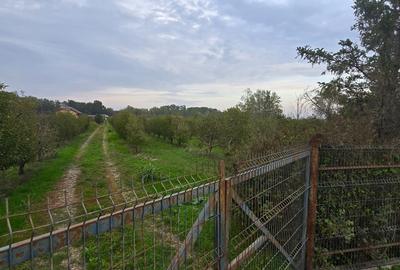 LIVADA  DE VANZARE FOCSANI-DUMBRAVITA  1,8  HA - 12