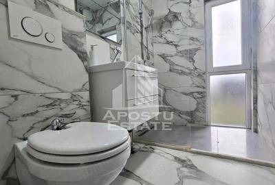 Vile de inchiriat Fantanele Arad Vile de inchiriat Fantanele Arad - 18