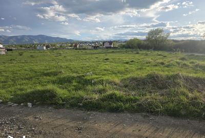 Teren de 405 mp, în Ștrand - 4