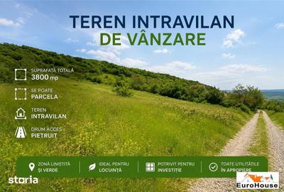 Teren de 3800 mp, în Cetate