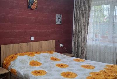 Casă cu Teren 2600 Mp în Bascov - 5