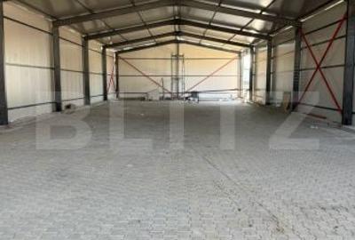 Spațiu comercial, de 520 mp, în Ulmi - 4