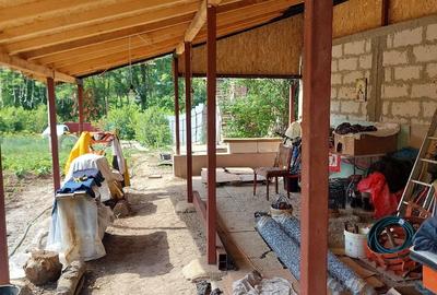 Teren de 1300 mp, în Dobriceni - 5
