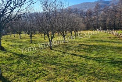 Teren de 4166 mp, în Stănești - 7