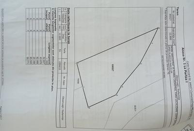 Teren de 12800 mp, în Valea Ursului - 1
