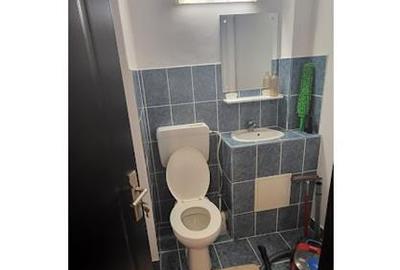 Apartament cu 3 camere decomandat, mobilat în Tudor Vladimirescu - 8