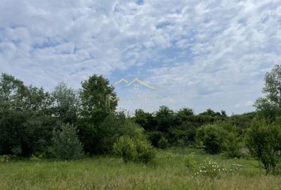 Teren Construcții intravilan de 1439 mp, în Crețești - 9