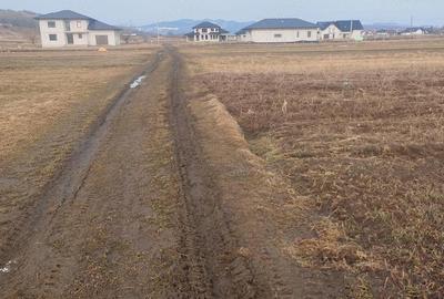 Teren de 26 mp, în Vicovu de Sus - 3