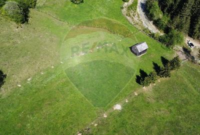Teren extravilan de 12127 mp, în Sud - 8