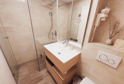 Lux, Tehnologie și Locație Centrală - Bld. Take Ionescu, langa pnctele Cardinale - 9