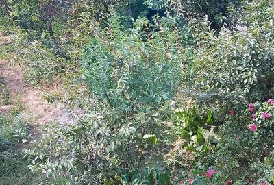 Casă individuală cu 4 camere cu Canalizare în Sud-Est - 15