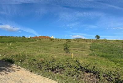 Teren de 840 mp, în Paleu - 1