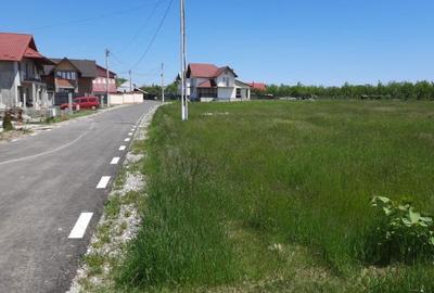 Spațiu comercial, în Albota - 3