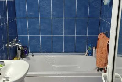 Vand apartament confort 2 , viziru 1 Pistruiatul - 3