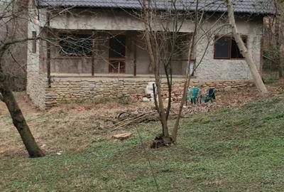 Casă cu 2 camere cu Teren 1960 Mp în Teișani - 3