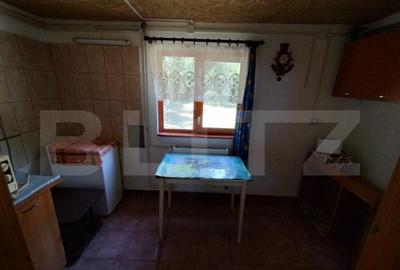 Cabana 4 camere Lunca Bradului - 5