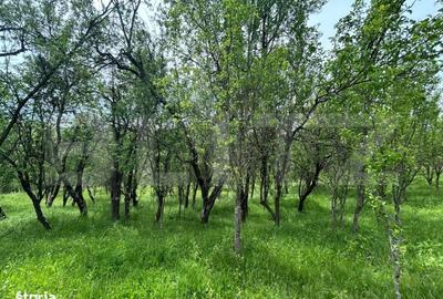 Casă cu 4 camere în Bunești - 6