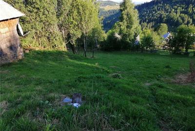 Casă cu 1 camere în Fericet - 3