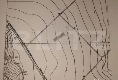 Teren de 2500 mp, în Central