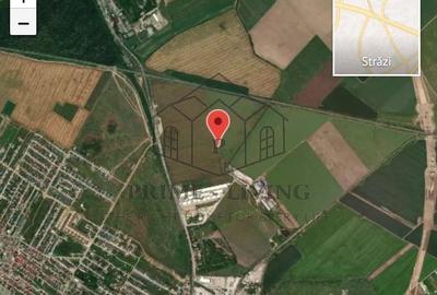 Teren agricol extravilan de 5000 mp, în Est - 4