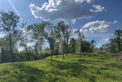 Teren intravilan de vanzare, 15080 mp, zona Tatara?ti - 16