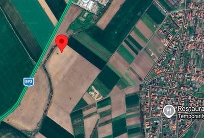 Teren Construcții intravilan de 49400 mp, în Șag - 2