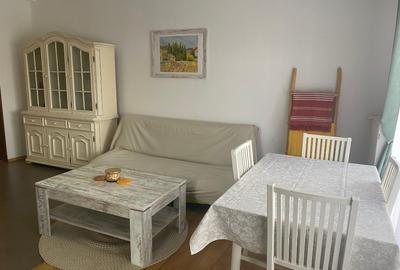 Proprietar, inchiriez apartament la casa, intrare si contorizare separate - 7