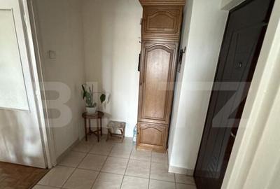 Apartament cu 2 camere, 49 mp, zona Careiului - 7
