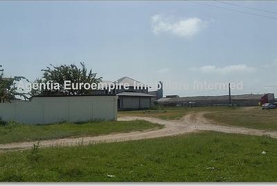 Teren de vanzare in Techirghiol - 10