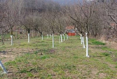 Spațiu comercial, în Central - 6