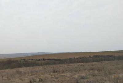 Spațiu comercial, în Podu Turcului - 2