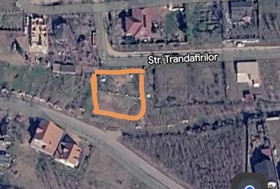Teren de 693 mp, în Paleu - 1