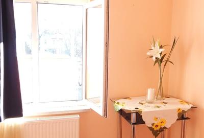 Duplex cu 4 camere cu Canalizare în Lacul Tei - 5