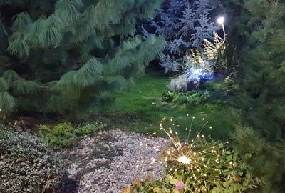 Casă individuală cu 5 camere cu Canalizare în Berceni - 4