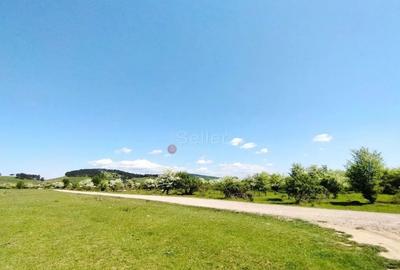 Teren de 1333 mp, în Sânpetru - 3