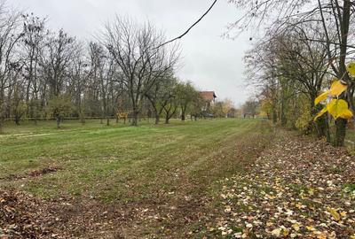 Teren Construcții intravilan de 8000 mp, în Ghermănești - 14