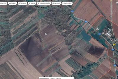 Teren extravilan arabil Ardeoani, ID: R1983077 - 1