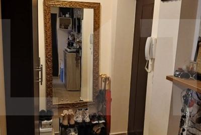 Apartament 2 camere, 40 mp, zona Torontalului Apartament 2 camere, 40 mp, zona Torontalului - 14